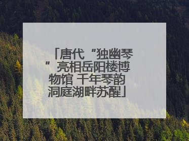 唐代“独幽琴”亮相岳阳楼博物馆 千年琴韵洞庭湖畔苏醒