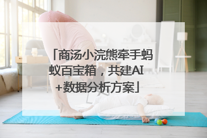 商汤小浣熊牵手蚂蚁百宝箱，共建AI+数据分析方案