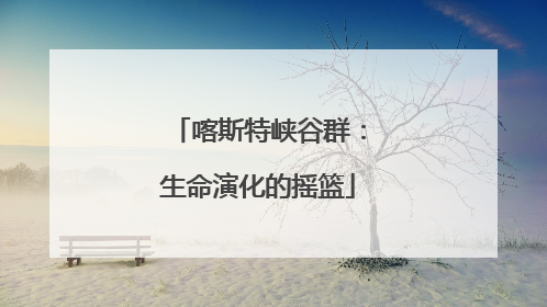 喀斯特峡谷群：生命演化的摇篮