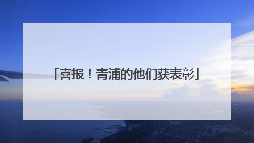 喜报！青浦的他们获表彰