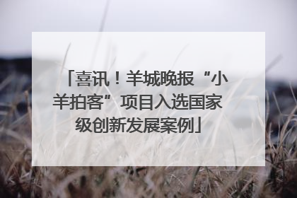 喜讯！羊城晚报“小羊拍客”项目入选国家级创新发展案例