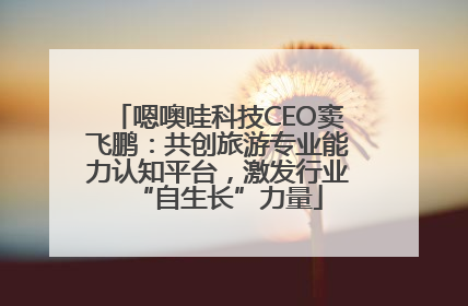 嗯噢哇科技CEO窦飞鹏：共创旅游专业能力认知平台，激发行业“自生长”力量