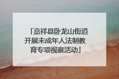 嘉祥县卧龙山街道开展未成年人法制教育专项视察活动