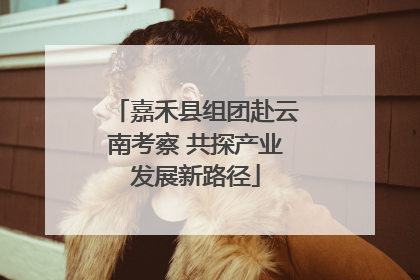 嘉禾县组团赴云南考察 共探产业发展新路径