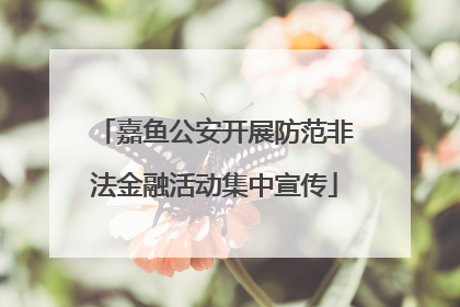 嘉鱼公安开展防范非法金融活动集中宣传