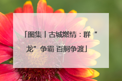 图集丨古城燃情：群“龙”争霸 百舸争渡