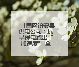 国网镇安县供电公司：抗旱保电跑出“加速度” 全力守护农田灌溉用电