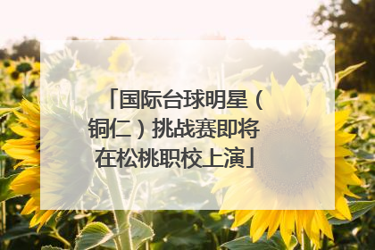 国际台球明星（铜仁）挑战赛即将在松桃职校上演