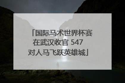 国际马术世界杯赛在武汉收官 547对人马飞跃英雄城