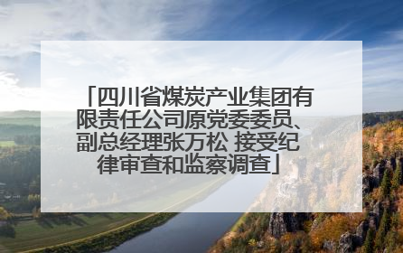 四川省煤炭产业集团有限责任公司原党委委员、副总经理张万松 接受纪律审查和监察调查
