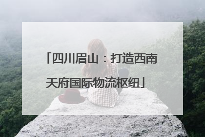 四川眉山：打造西南天府国际物流枢纽