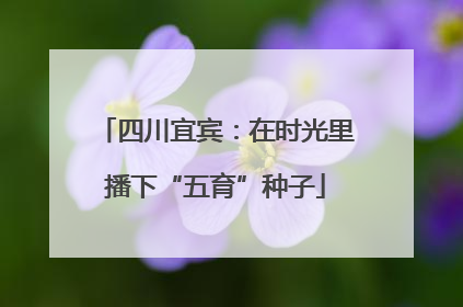 四川宜宾：在时光里播下“五育”种子