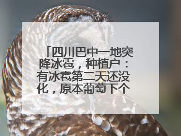 四川巴中一地突降冰雹，种植户：有冰雹第二天还没化，原本葡萄下个月上市，现在全被打落