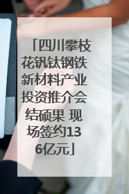 四川攀枝花钒钛钢铁新材料产业投资推介会结硕果 现场签约136亿元