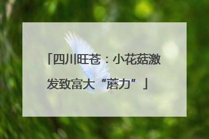 四川旺苍：小花菇激发致富大“蘑力”