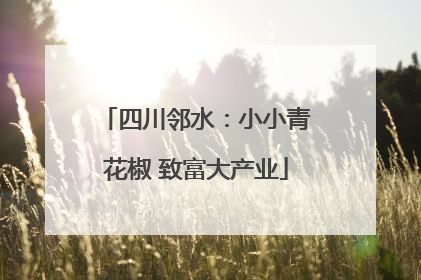 四川邻水：小小青花椒 致富大产业