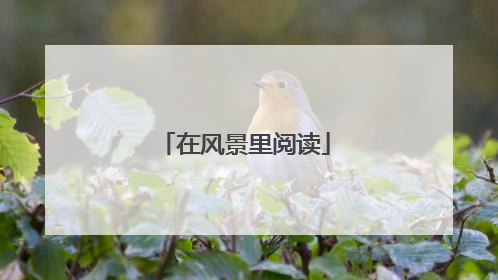 在风景里阅读