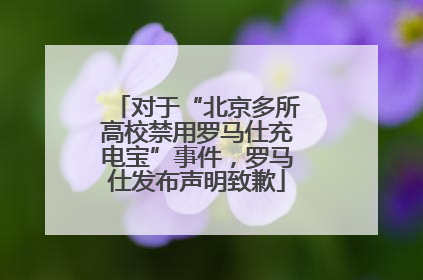 对于“北京多所高校禁用罗马仕充电宝”事件，罗马仕发布声明致歉