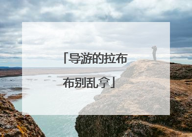 导游的拉布布别乱拿