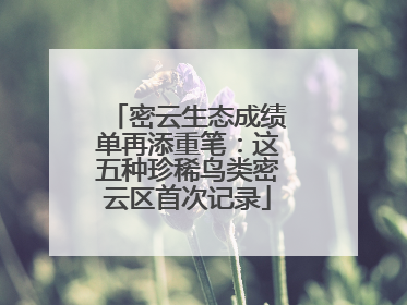 密云生态成绩单再添重笔：这五种珍稀鸟类密云区首次记录