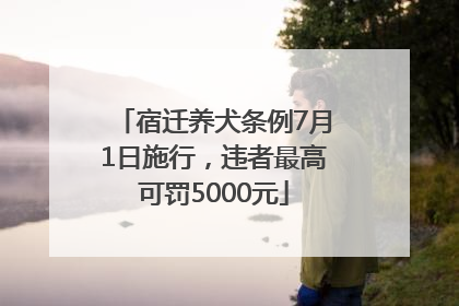 宿迁养犬条例7月1日施行，违者最高可罚5000元