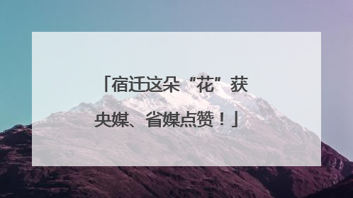 宿迁这朵“花”获央媒、省媒点赞！