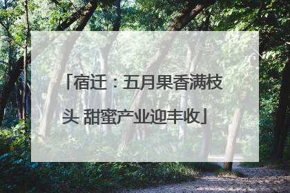 宿迁：五月果香满枝头 甜蜜产业迎丰收
