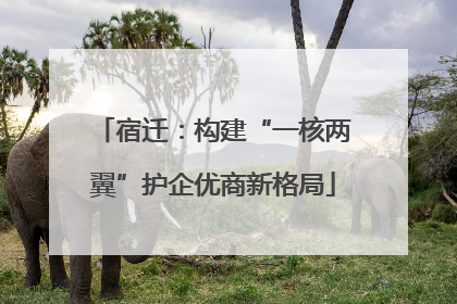 宿迁：构建“一核两翼”护企优商新格局
