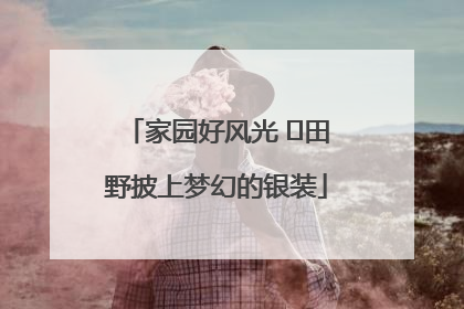 家园好风光 ⎮田野披上梦幻的银装
