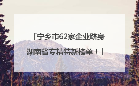 宁乡市62家企业跻身湖南省专精特新榜单！