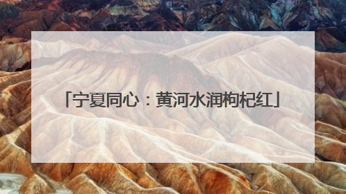 宁夏同心：黄河水润枸杞红