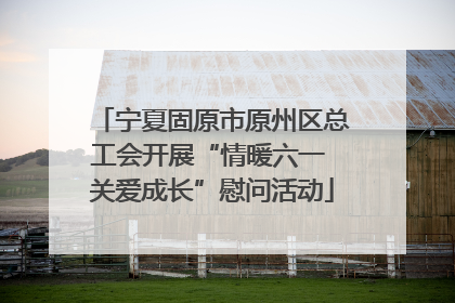 宁夏固原市原州区总工会开展“情暖六一 关爱成长”慰问活动