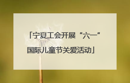 宁夏工会开展“六一”国际儿童节关爱活动
