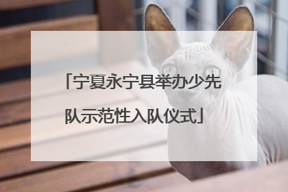 宁夏永宁县举办少先队示范性入队仪式