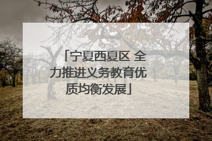 宁夏西夏区 全力推进义务教育优质均衡发展