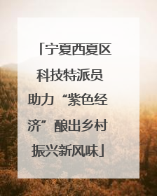 宁夏西夏区 科技特派员助力“紫色经济”酿出乡村振兴新风味