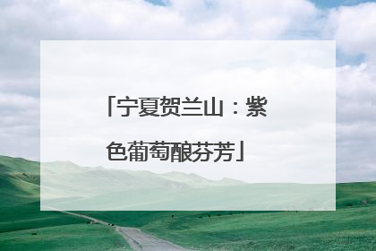 宁夏贺兰山：紫色葡萄酿芬芳