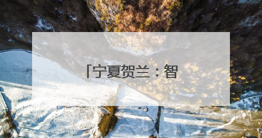 宁夏贺兰：智慧方舱里长出的“金疙瘩”