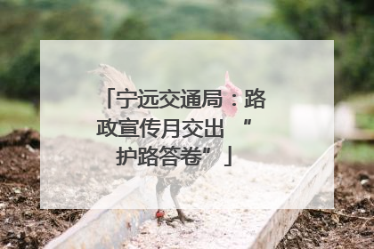 宁远交通局：路政宣传月交出 “护路答卷”