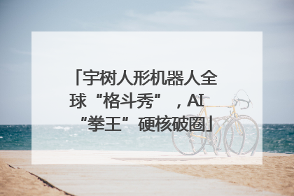 宇树人形机器人全球“格斗秀”，AI“拳王”硬核破圈