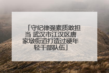 守纪律强素质敢担当 武汉市江汉区唐家墩街道打造过硬年轻干部队伍