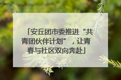 安丘团市委推进“共青团伙伴计划”，让青春与社区双向奔赴