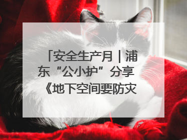安全生产月｜浦东“公小护”分享《地下空间要防灾，守护平安有我在》安全谣