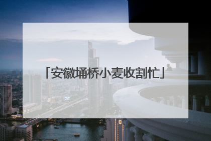 安徽埇桥小麦收割忙