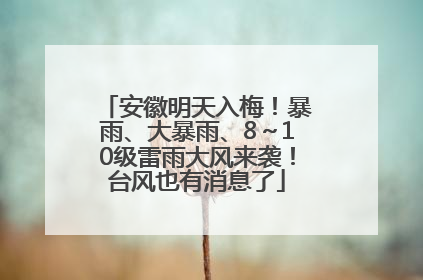安徽明天入梅！暴雨、大暴雨、8～10级雷雨大风来袭！台风也有消息了