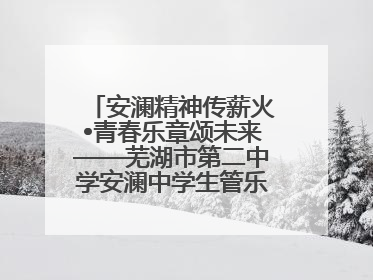 安澜精神传薪火•青春乐章颂未来——芜湖市第二中学安澜中学生管乐团第十二届公益展演圆满举行