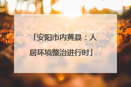 安阳市内黄县：人居环境整治进行时