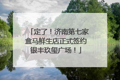 定了！济南第七家盒马鲜生店正式签约银丰玖玺广场！