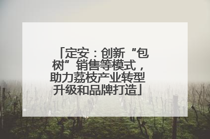 定安：创新“包树”销售等模式，助力荔枝产业转型升级和品牌打造