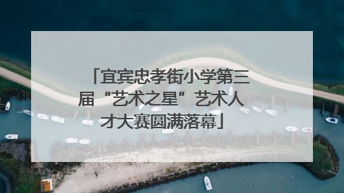 宜宾忠孝街小学第三届“艺术之星”艺术人才大赛圆满落幕
